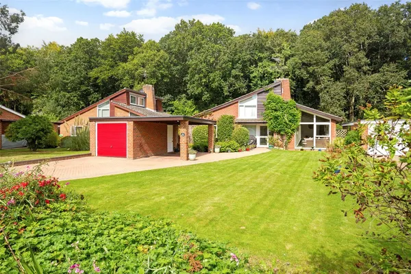 Bluebell Hollow, Baughurst, RG26
