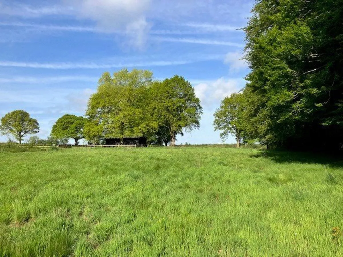 Building Plot, Oakley, RG23