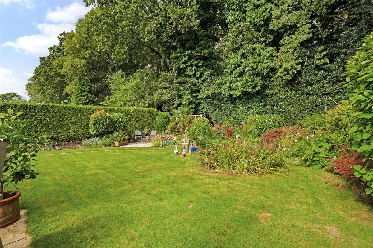 Bluebell Hollow, Baughurst, RG26