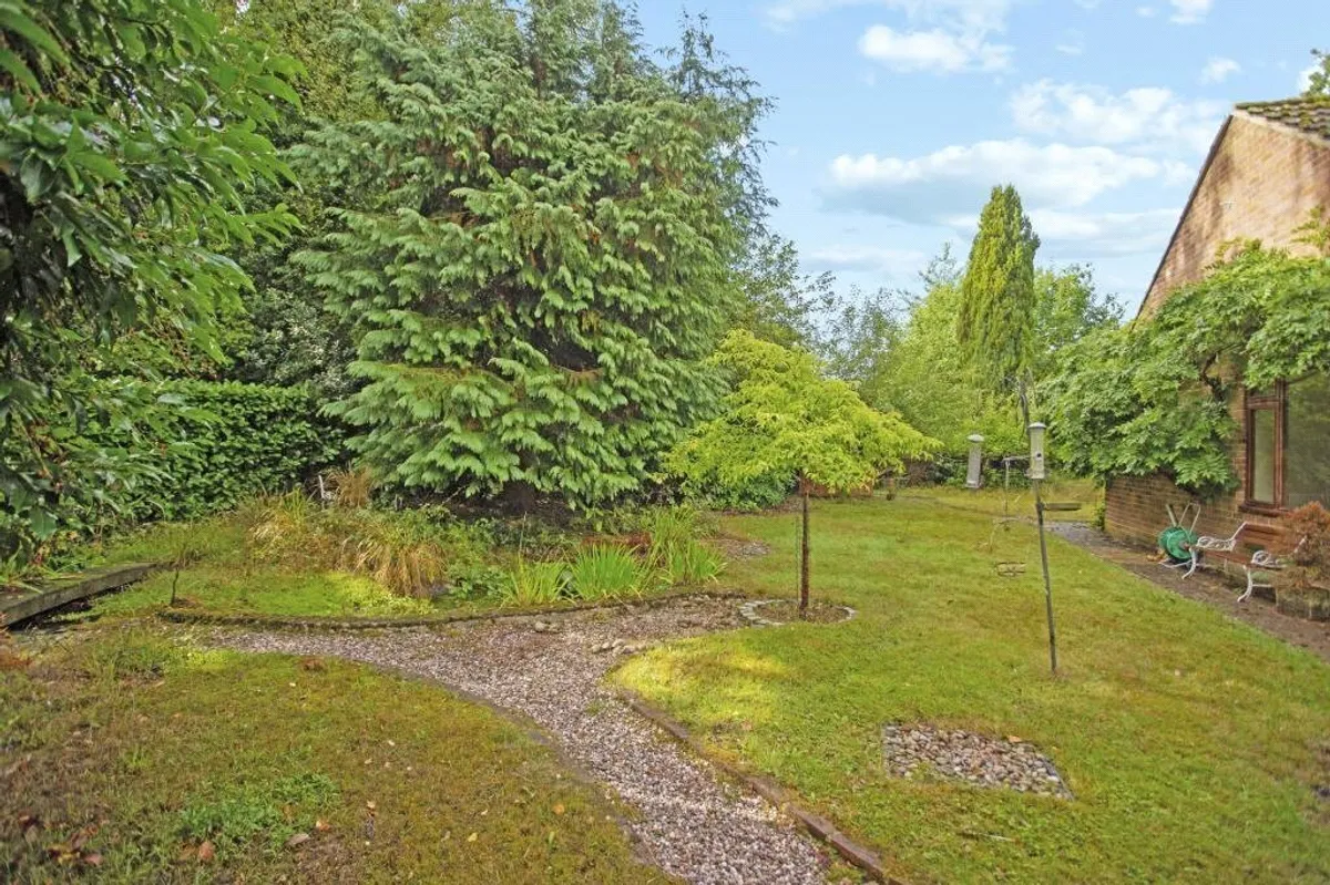 Mourne Wood, Baughurst, RG26