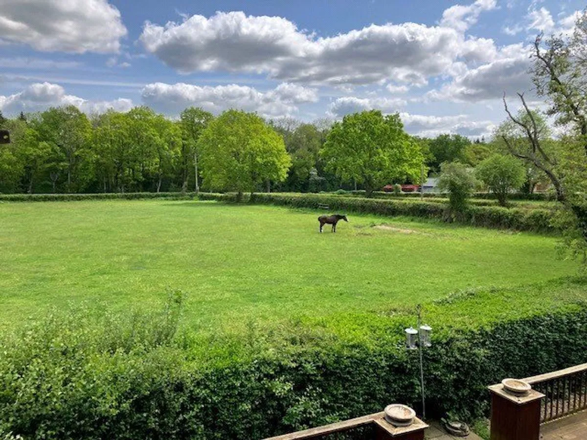 Chapel Lane, Wolverton Common, RG26