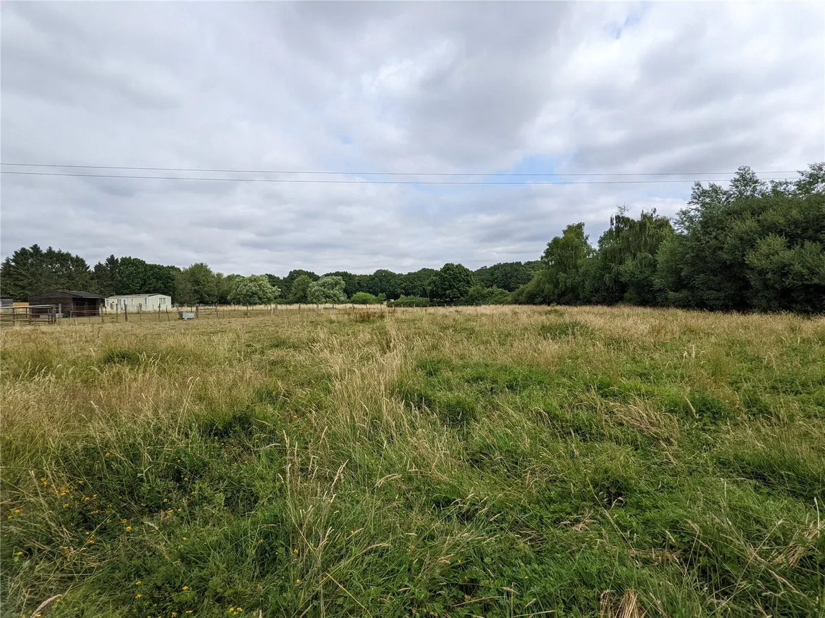 New Road, Pamber Green, RG26