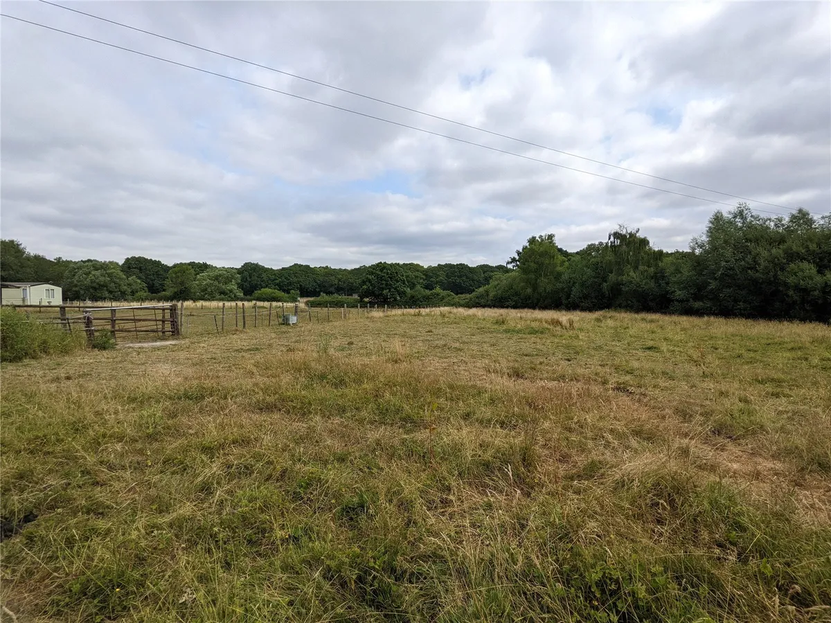 New Road, Pamber Green, RG26