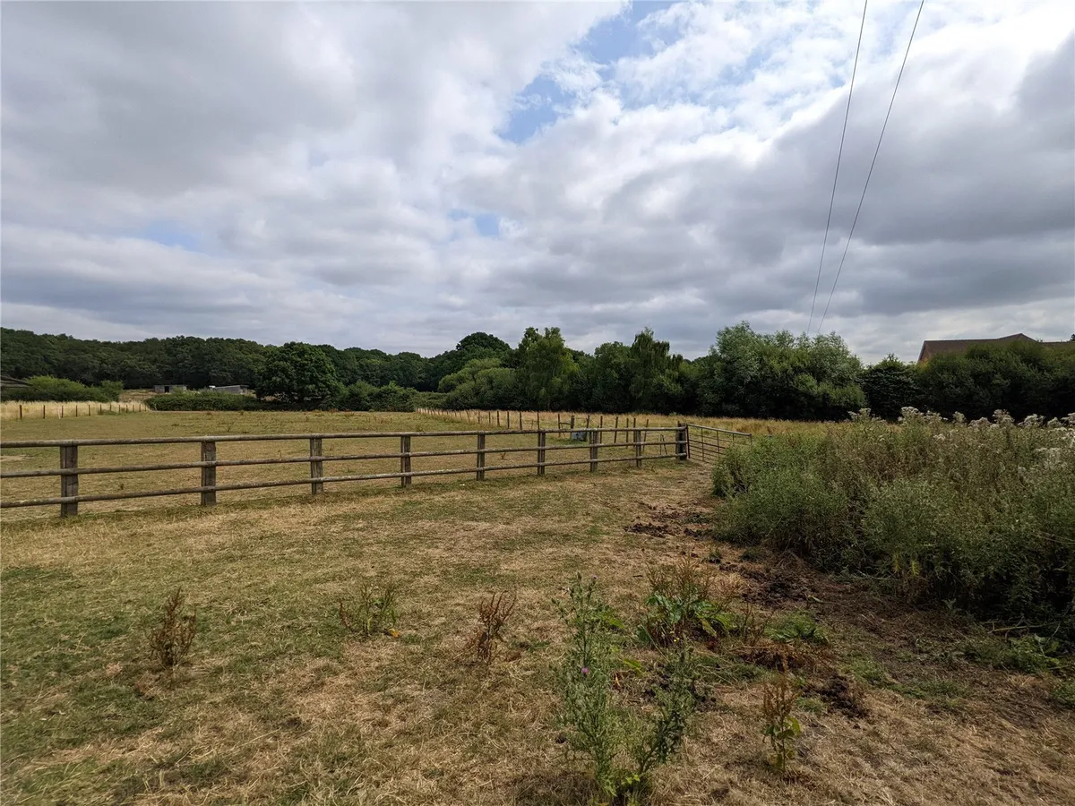 New Road, Pamber Green, RG26