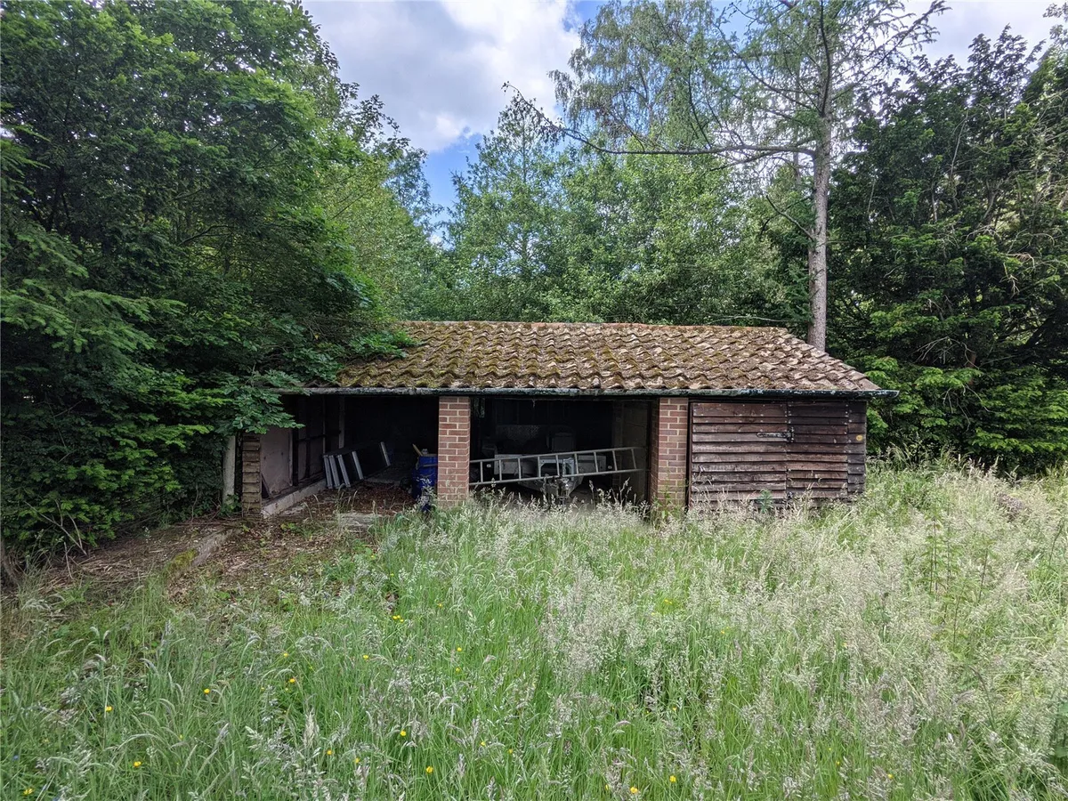 Building Plot, Pamber Green, RG26