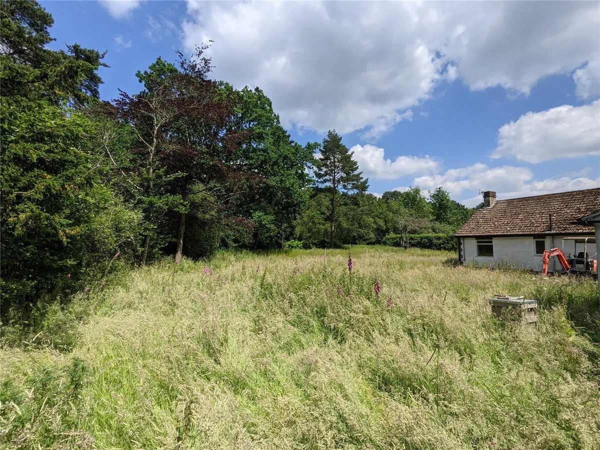 Building Plot, Pamber Green, RG26