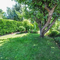 Property 29