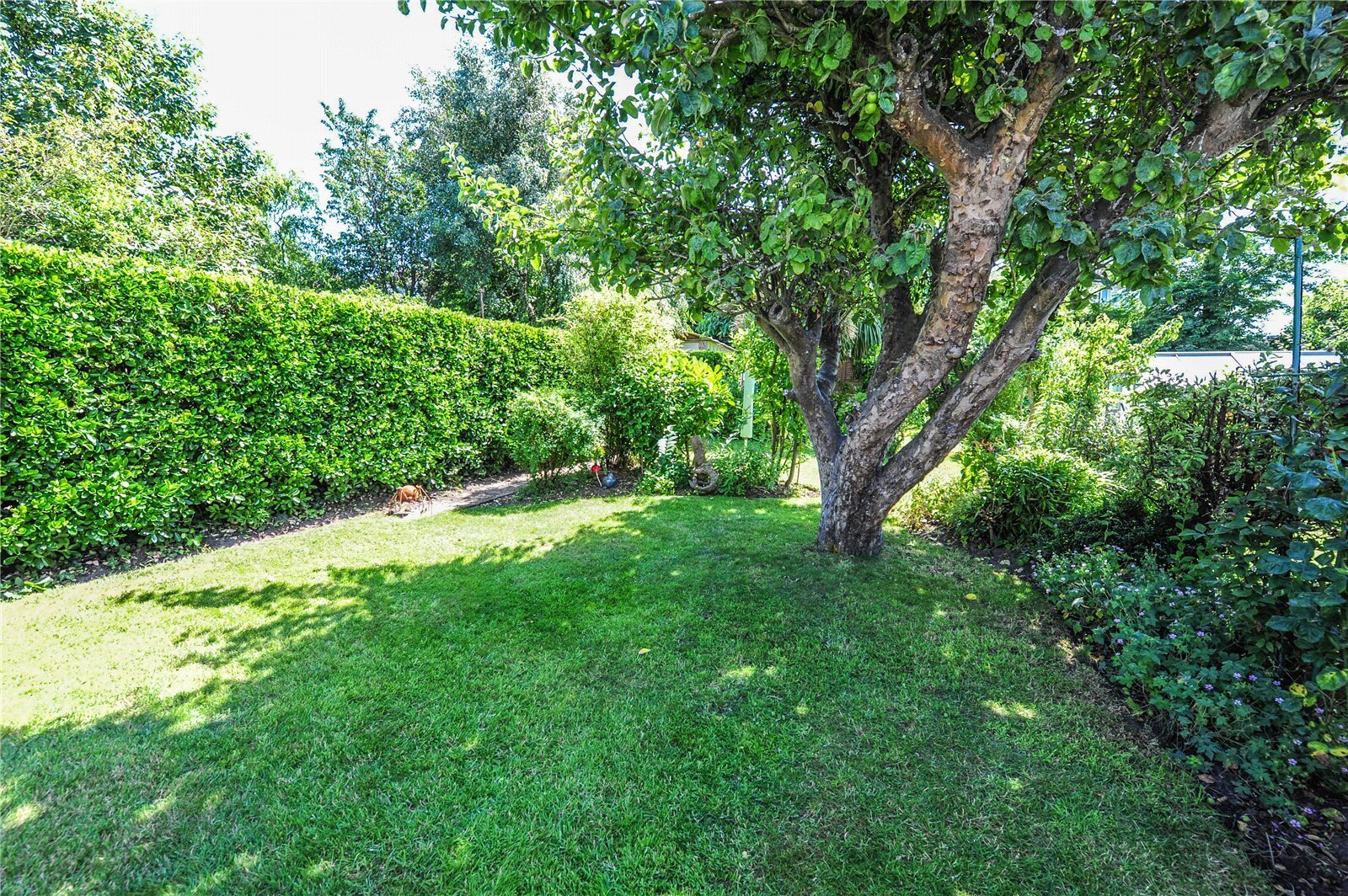 Livingstone Road, Parkstone, Poole, Dorset, BH12 Image 29