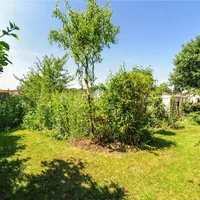 Property 32