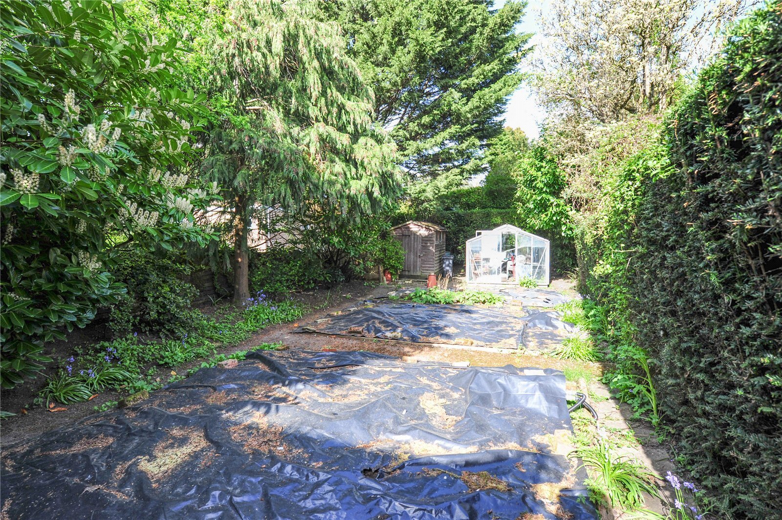 Portchester Road, Bournemouth, Dorset, BH8 Image 43