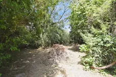 Hall Road, Panfield, Braintree