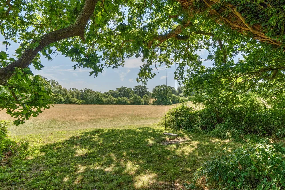 Common Lane, Laughton, BN8 photo 18