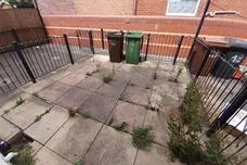 Gaskell Street, WAKEFIELD