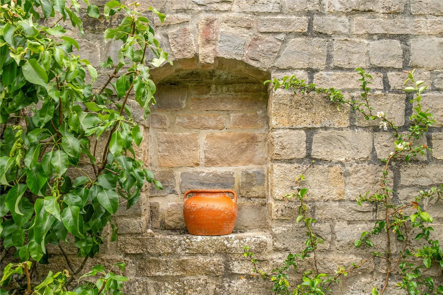 Fleet Street, Beaminster, DT8 photo 29