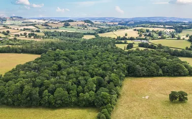 Denbury, Newton Abbot
