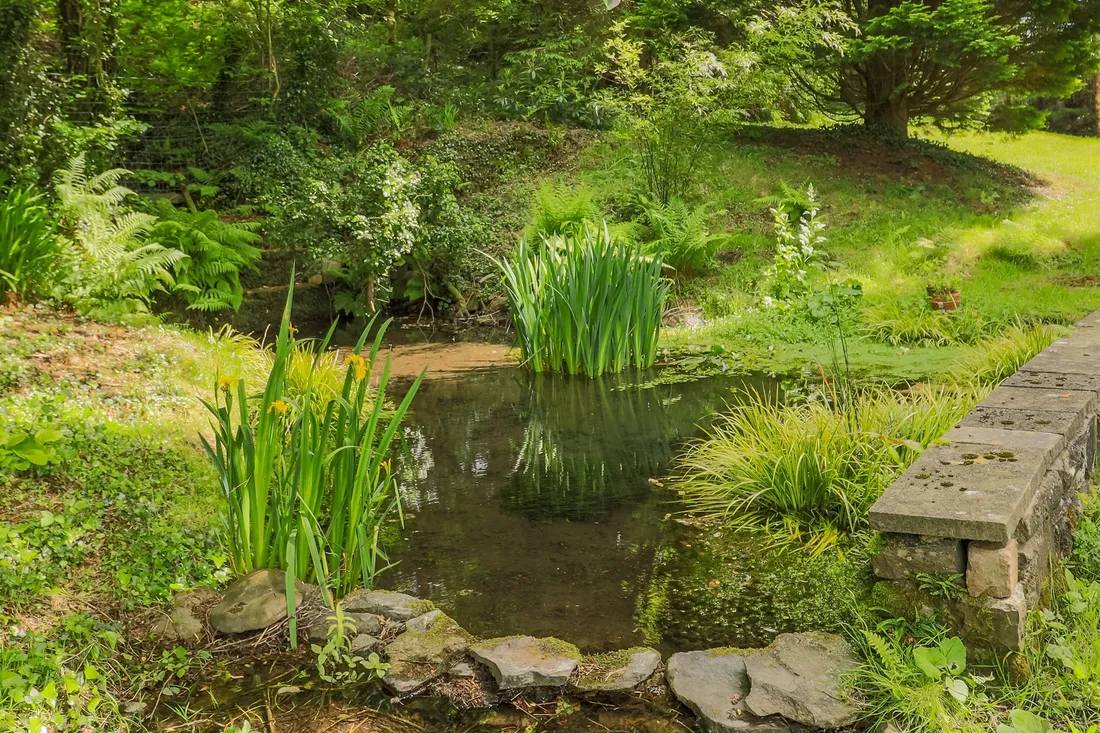 Property photo 31