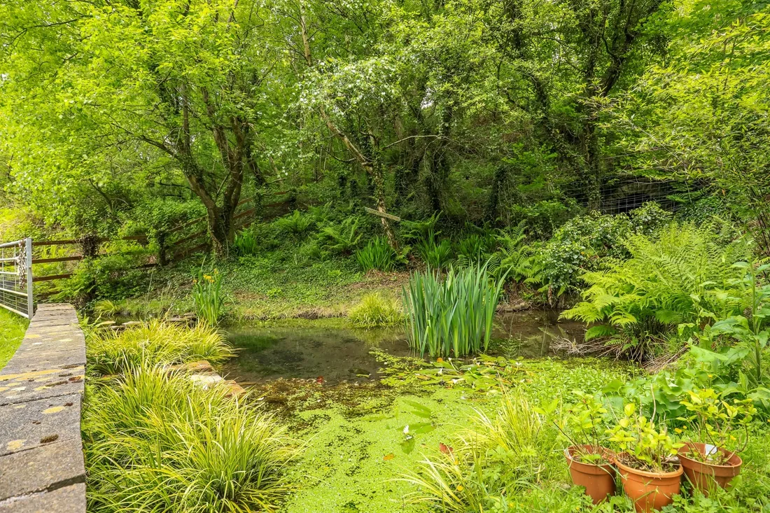 Property photo 34