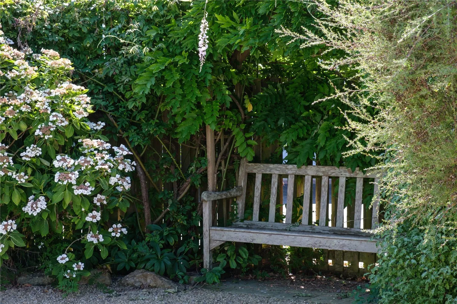 Meadow Way, Charmouth, DT6 photo 37