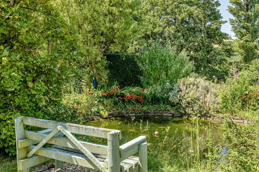 Property Image 44
