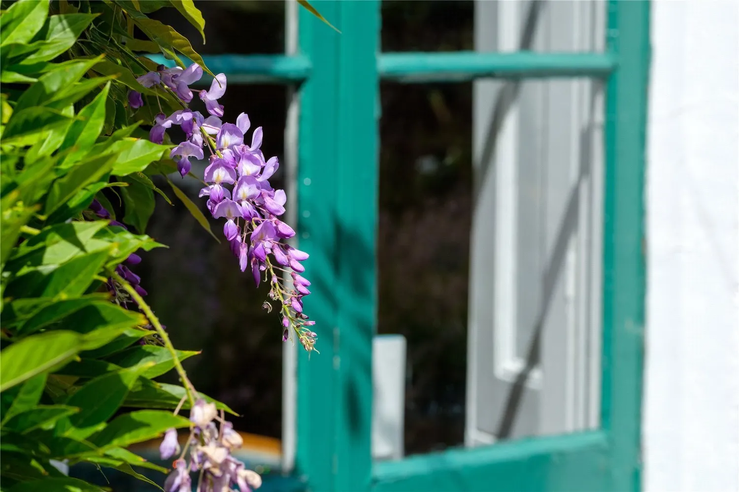 St. Andrews Road, Bridport, DT6 photo 51
