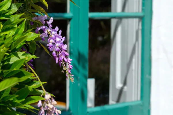 St. Andrews Road, Bridport, DT6 photo 51