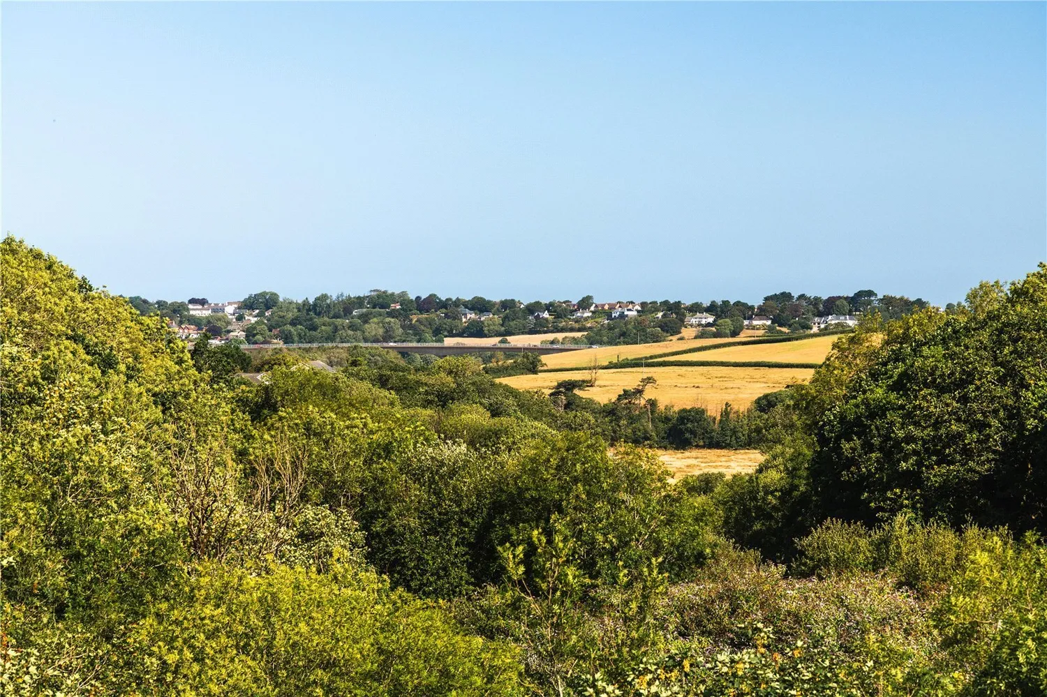Langmead Drive, Bideford, EX39 photo 17