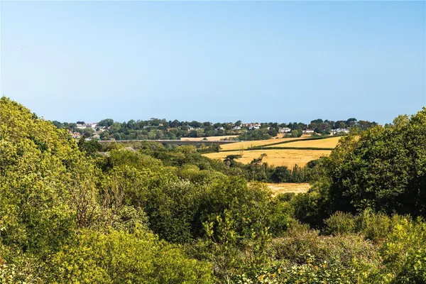 Langmead Drive, Bideford, EX39 photo 17