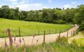 Property image gallery