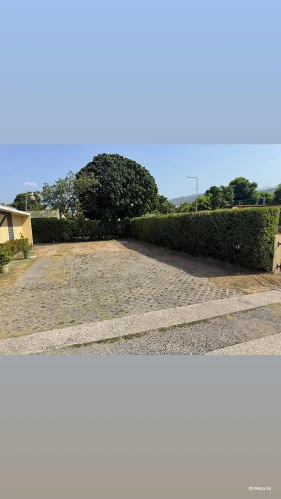 CARANATION WAY,   MONA KI Kingston  St. Andrew