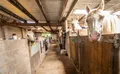 Property image gallery