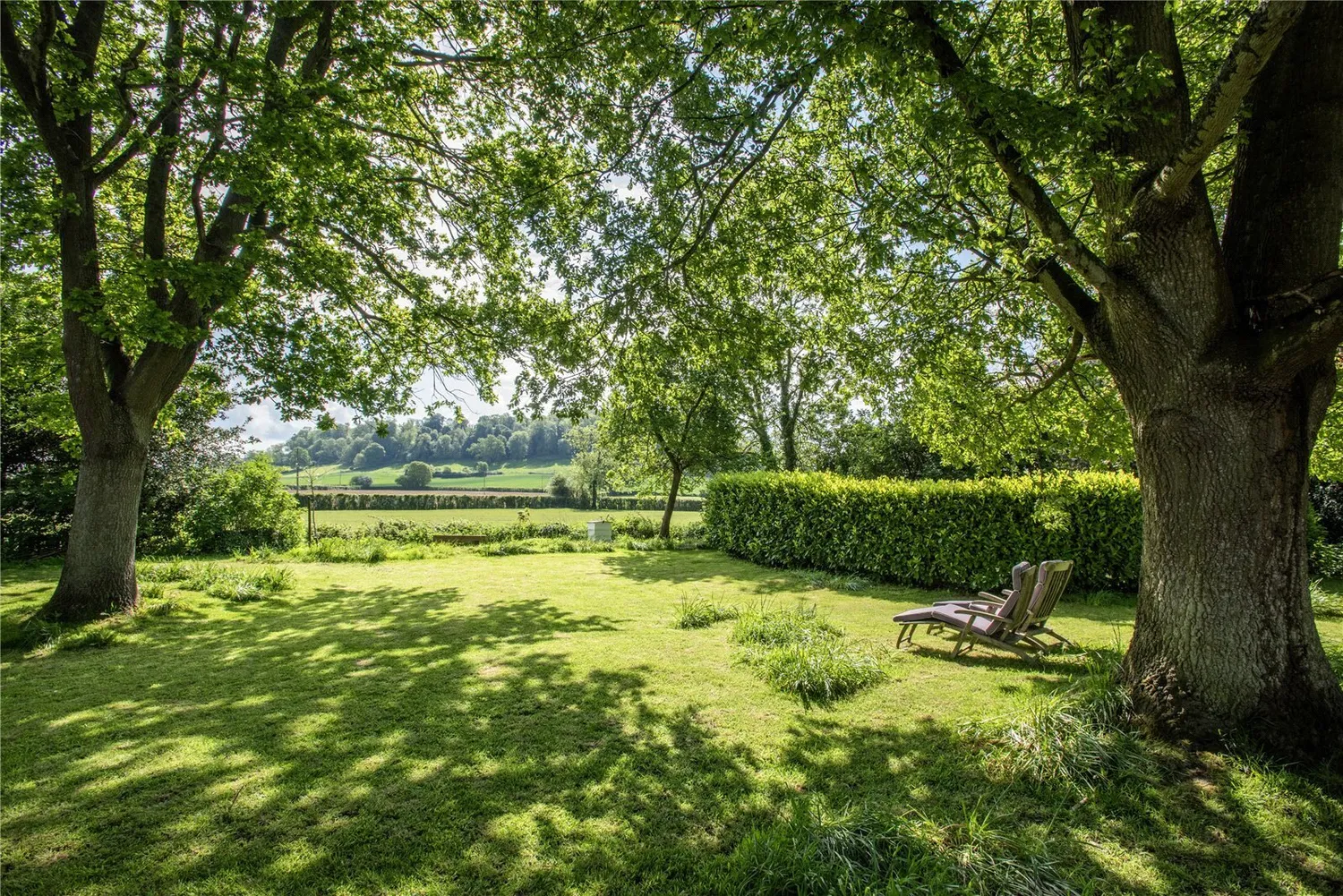 Little Weston, Somerset, BA22 photo 21