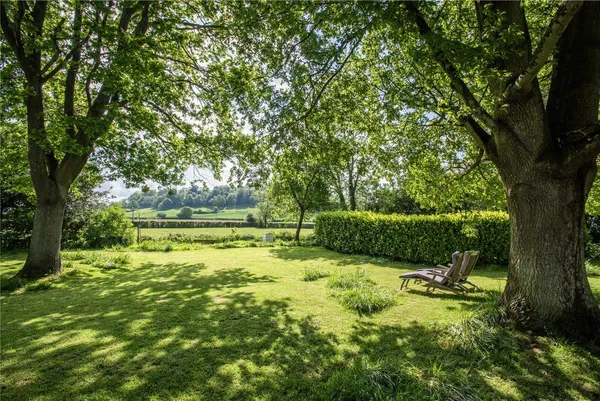 Little Weston, Somerset, BA22 photo 21