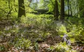 Property image gallery