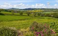 Property image gallery