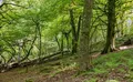 Property image gallery