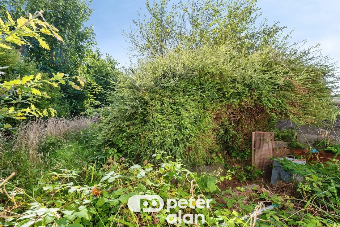 Property photo 6