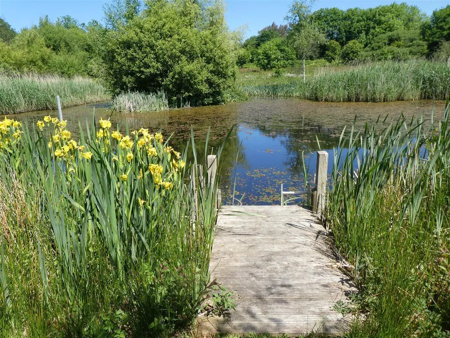 Property Image 31