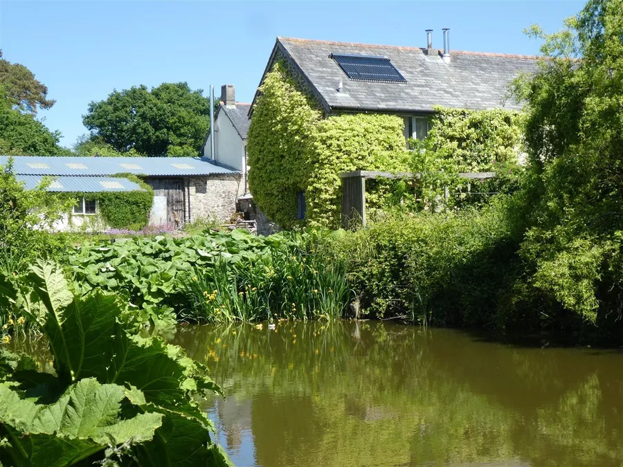 Property Image 34