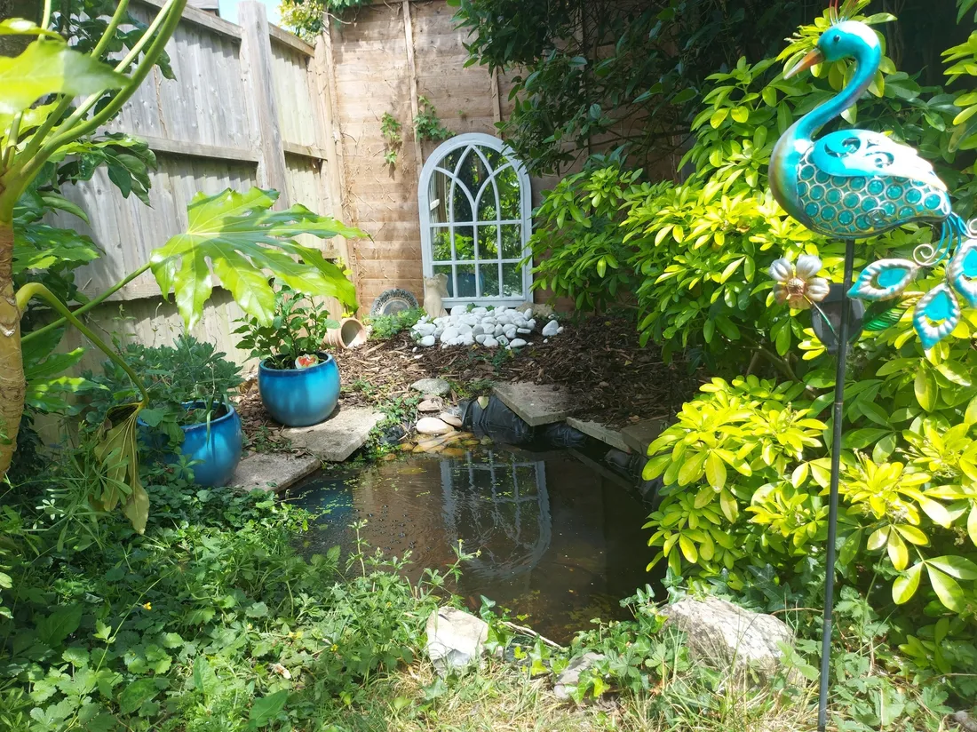 Property photo 14
