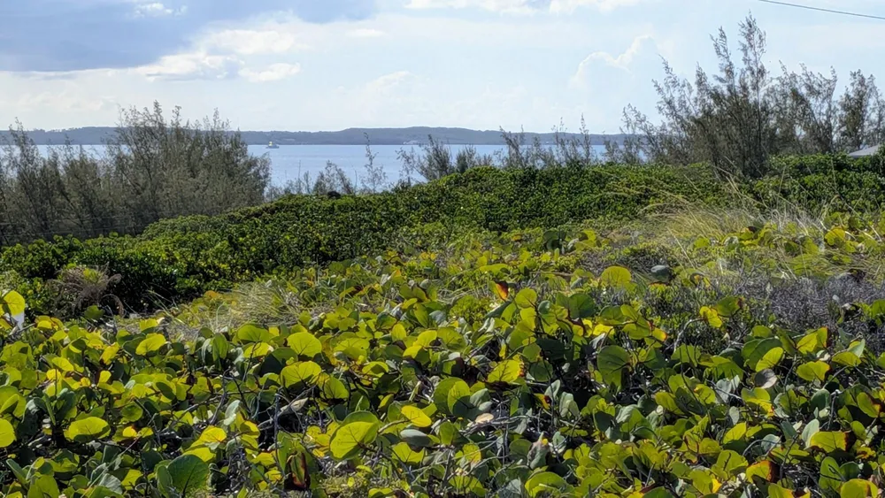 Whale Point Estates Eleuthera