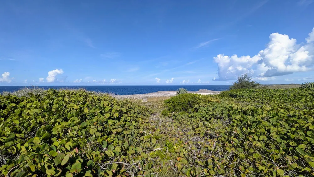 Whale Point Estates Eleuthera
