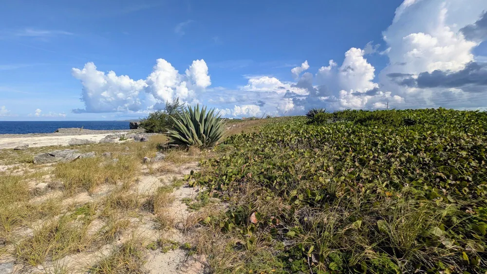 Whale Point Estates Eleuthera