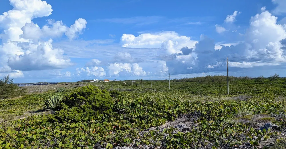 Whale Point Estates Eleuthera