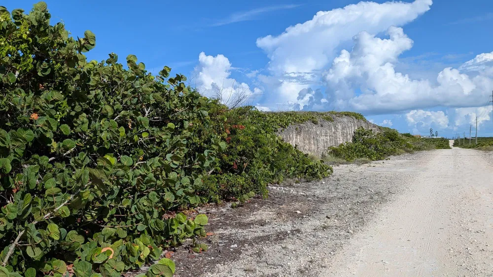 Whale Point Estates Eleuthera