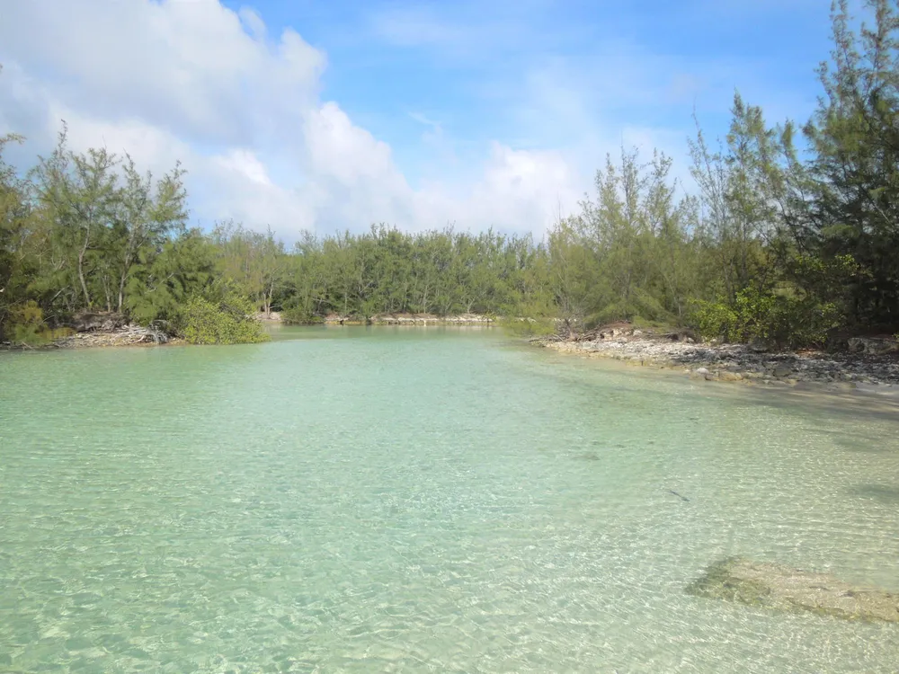 Whale Point Estates Eleuthera