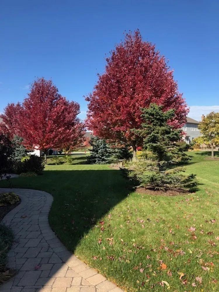 29 Glacier Circle, South Barrington, IL 60010