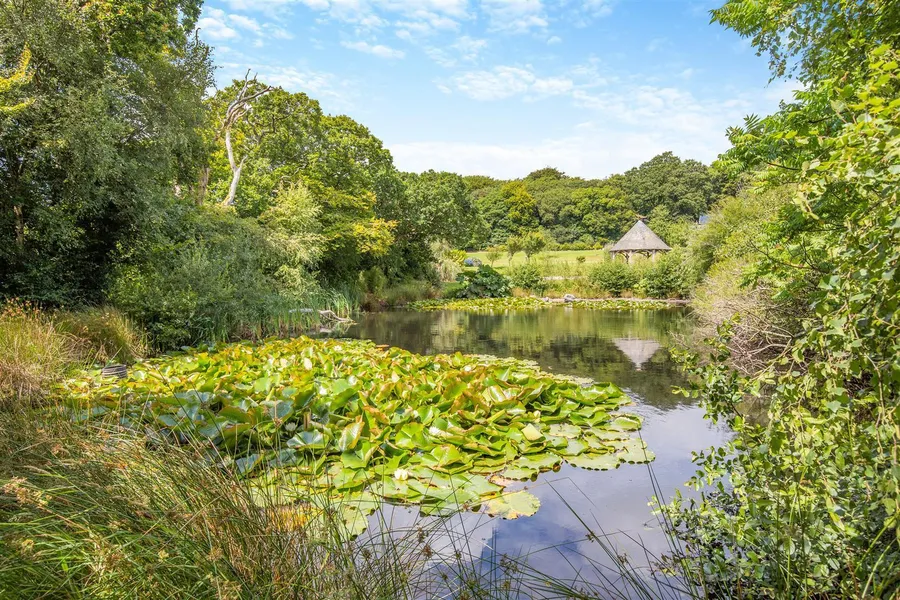 Property Image 33