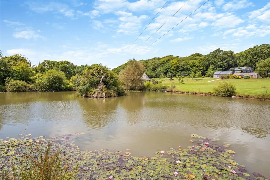 Property Image 34