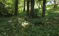 Property image gallery