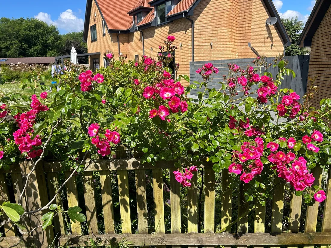 Property photo 30